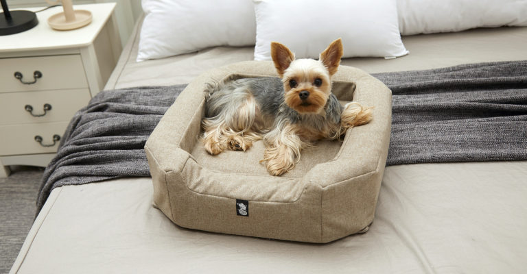 Recocore Casa di COCO is world's First Convertible Pet Carrier, Car seat, Bed