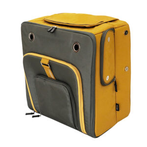 Casa di Coco (Mustard)