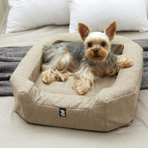 Alternative view of Casa di Coco (Mustard)